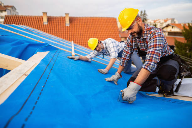 Best Metal Roofing Contractor  in Frankenmuth, MI
