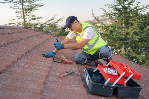 Roof Gutter Cleaning in Frankenmuth, MI